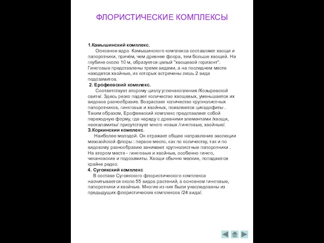 ФЛОРИСТИЧЕСКИЕ КОМПЛЕКСЫ 1.Камышинский комплекс. Основное ядро Камышинского комплекса составляют хвощи и папоротники,