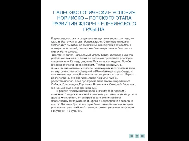 ПАЛЕОЭКОЛОГИЧЕСКИЕ УСЛОВИЯ НОРИЙСКО – РЭТСКОГО ЭТАПА РАЗВИТИЯ ФЛОРЫ ЧЕЛЯБИНСКОГО ГРАБЕНА. В триасе