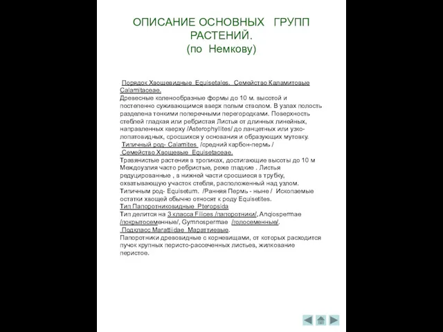 ОПИСАНИЕ ОСНОВНЫХ ГРУПП РАСТЕНИЙ. (по Немкову) Порядок Хвощевидные Equisetales. Семейство Каламитовые Calamitaceae.