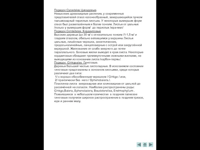 Порядок Cycadales Цикадовые. Невысокие древовидные растения, у современных представителей ствол колонообразный, завершающийся