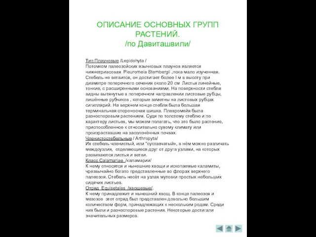 ОПИСАНИЕ ОСНОВНЫХ ГРУПП РАСТЕНИЙ. /по Давиташвили/ Тип Плауновые /Lepidohyta / Потомком палеозойских