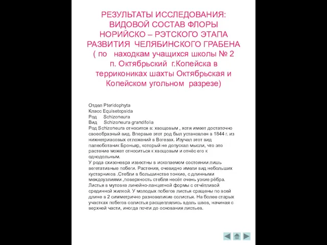 РЕЗУЛЬТАТЫ ИССЛЕДОВАНИЯ: ВИДОВОЙ СОСТАВ ФЛОРЫ НОРИЙСКО – РЭТСКОГО ЭТАПА РАЗВИТИЯ ЧЕЛЯБИНСКОГО ГРАБЕНА