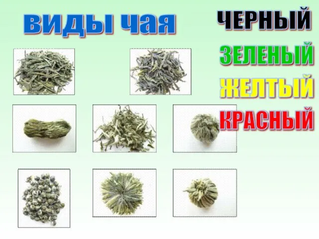 виды чая ЧЕРНЫЙ ЗЕЛЕНЫЙ ЖЕЛТЫЙ КРАСНЫЙ