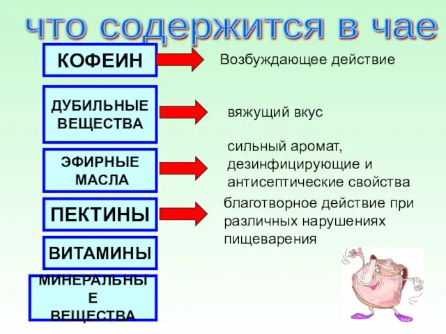 что содержится в чае ? КОФЕИН ДУБИЛЬНЫЕ ВЕЩЕСТВА ЭФИРНЫЕ МАСЛА ПЕКТИНЫ ВИТАМИНЫ