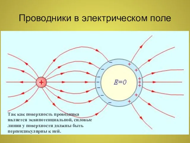 Проводники в электрическом поле Все внутренние области проводника, внесенного в электрическое поле,