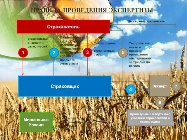 ПРАВИЛА ПРОВЕДЕНИЯ ЭКСПЕРТИЗЫ Страхователь Страховщик Эксперт 1 Уведомление о наличии разногласий 2