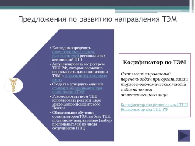 Предложения по развитию направления ТЭМ Кодификатор по ТЭМ Систематизированный перечень задач при