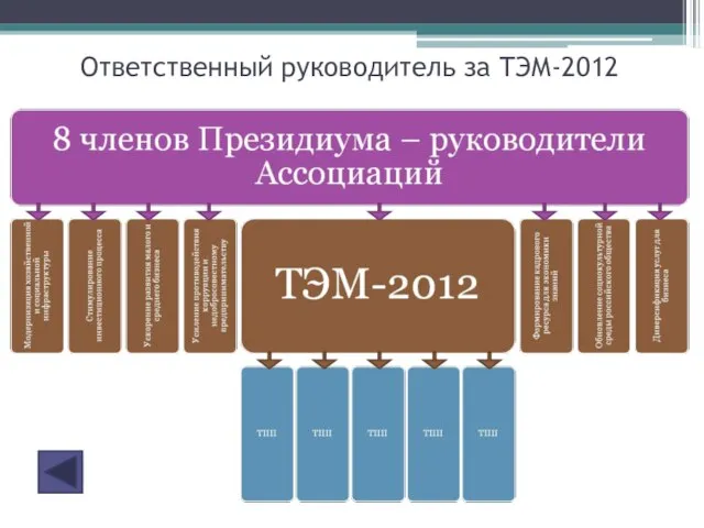 Ответственный руководитель за ТЭМ-2012