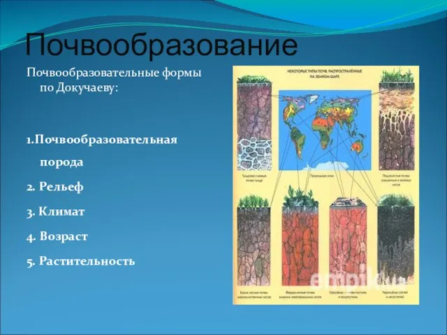 Почвообразование Почвообразовательные формы по Докучаеву: 1.Почвообразовательная порода 2. Рельеф 3. Климат 4. Возраст 5. Растительность