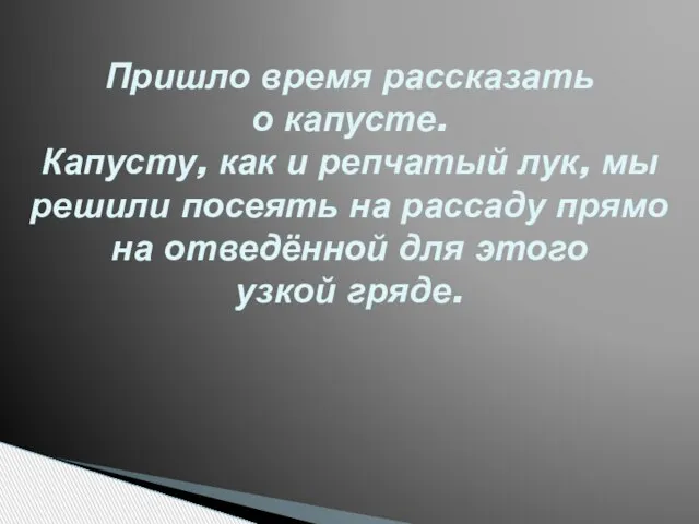 Пришло время рассказать о капусте. Капусту, как и репчатый лук, мы решили