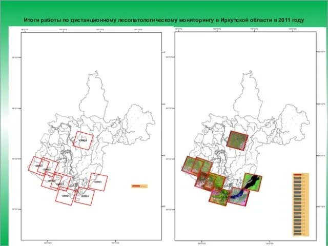 Итоги работы по дистанционному лесопатологическому мониторингу в Иркутской области в 2011 году