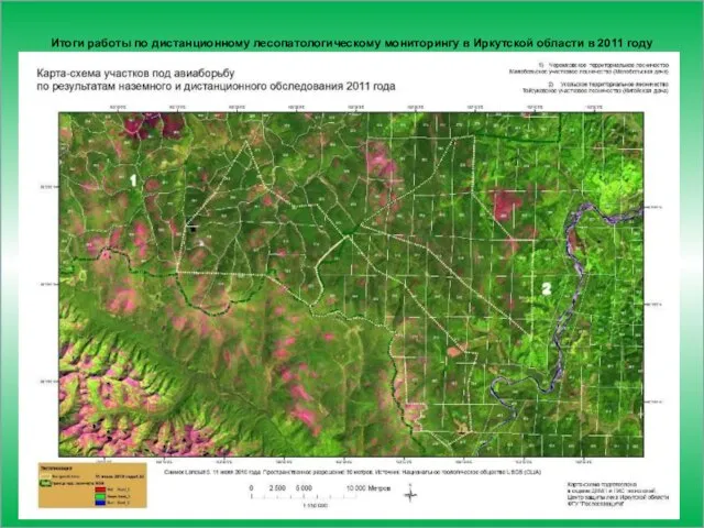 Итоги работы по дистанционному лесопатологическому мониторингу в Иркутской области в 2011 году