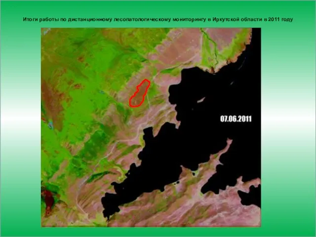Итоги работы по дистанционному лесопатологическому мониторингу в Иркутской области в 2011 году