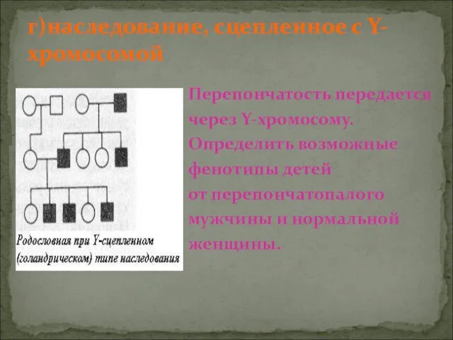 г)наследование, сцепленное с Y-хромосомой Перепончатость передается через Y-хромосому. Определить возможные фенотипы детей