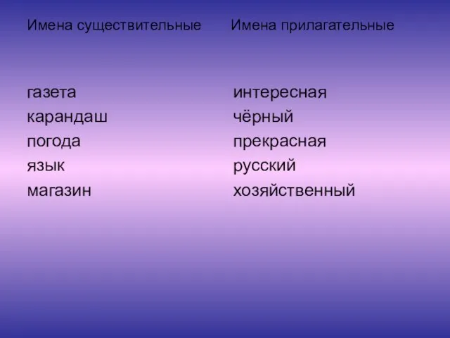 Имена существительные Имена прилагательные газета карандаш погода язык магазин интересная чёрный прекрасная русский хозяйственный