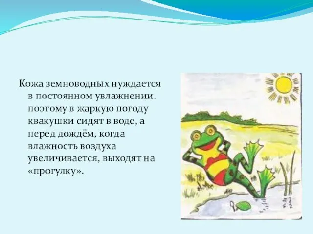 Кожа земноводных нуждается в постоянном увлажнении. поэтому в жаркую погоду квакушки сидят