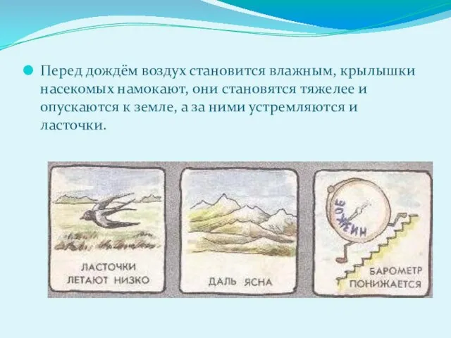 Перед дождём воздух становится влажным, крылышки насекомых намокают, они становятся тяжелее и