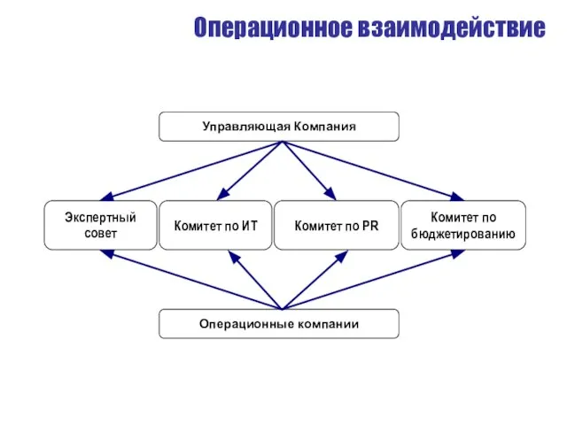 Операционное взаимодействие Экспертный совет Комитет по ИТ Комитет по PR Комитет по