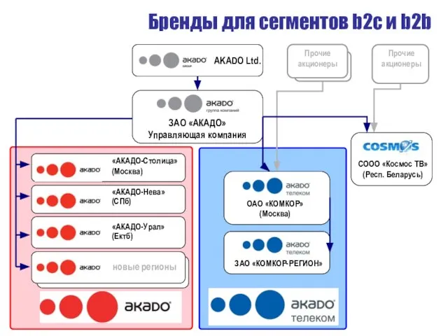 Бренды для сегментов b2c и b2b AKADO Ltd. ЗАО «АКАДО» Управляющая компания