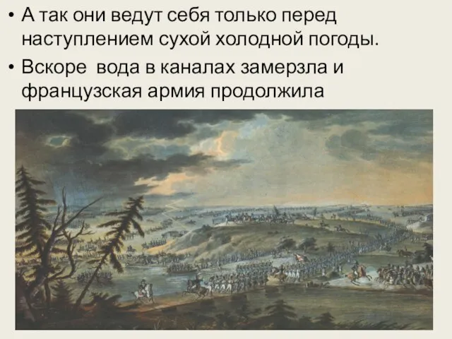 А так они ведут себя только перед наступлением сухой холодной погоды. Вскоре