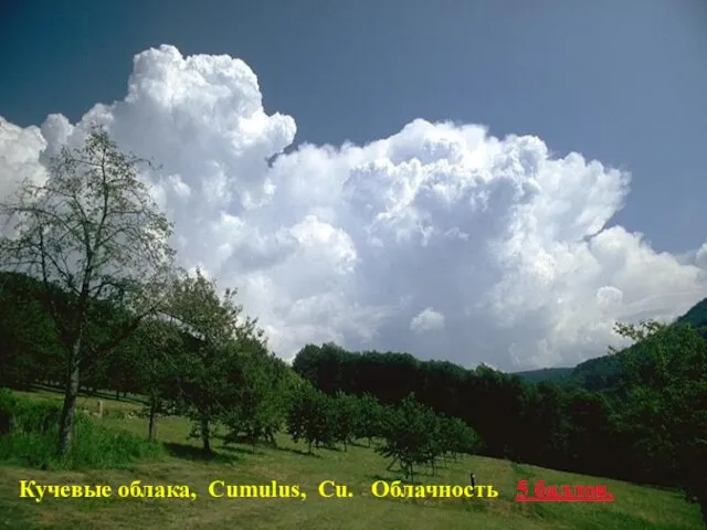 Кучевые облака, Cumulus, Cu. Облачность 5 баллов.