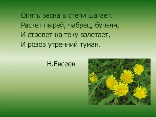 Опять весна в степи шагает. Растет пырей, чабрец, бурьян, И стрепет на