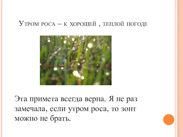 Утром роса – к хорошей , теплой погоде Эта примета всегда верна.