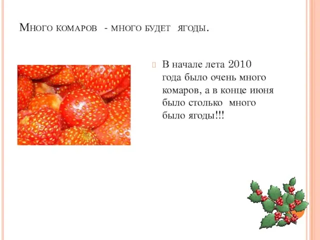 Много комаров - много будет ягоды. В начале лета 2010 года было