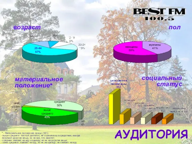 АУДИТОРИЯ пол социальный статус материальное положение* возраст * - Материальное положение семьи