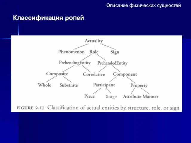 Описание физических сущностей Классификация ролей