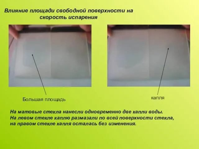 Влияние площади свободной поверхности на скорость испарения Большая площадь капля На матовые