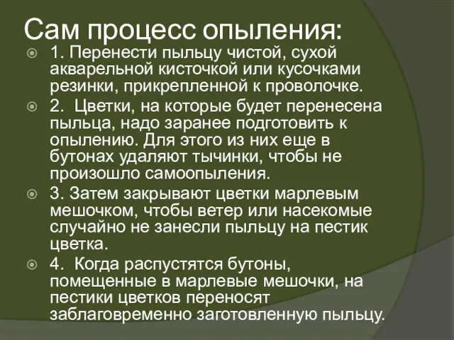 Сам процесс опыления: 1. Перенести пыльцу чистой, сухой акварельной кисточкой или кусочками