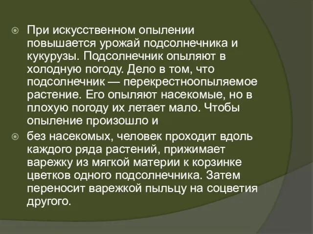 При искусственном опылении повышается урожай подсолнечника и кукурузы. Подсолнечник опыляют в холодную