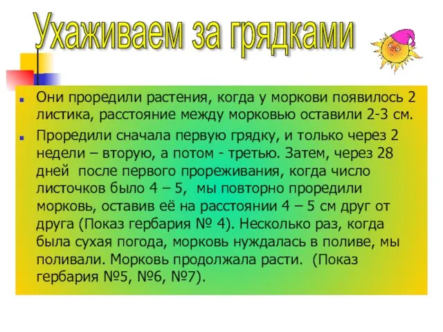 Они проредили растения, когда у моркови появилось 2 листика, расстояние между морковью