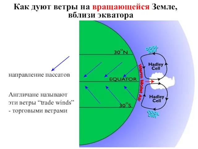 Как дуют ветры на вращающейся Земле, вблизи экватора направление пассатов Англичане называют