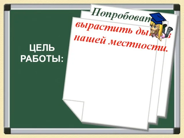 ЦЕЛЬ РАБОТЫ: Попробовать вырастить дыню в нашей местности.