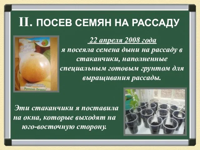 II. ПОСЕВ СЕМЯН НА РАССАДУ 22 апреля 2008 года я посеяла семена