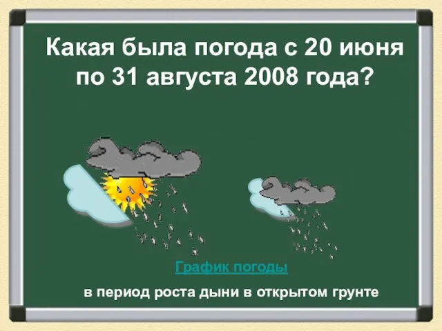 График погоды в период роста дыни в открытом грунте Какая была погода