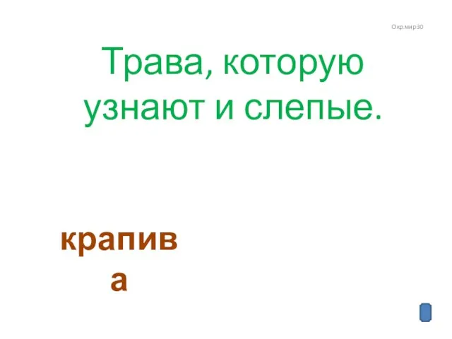 Окр.мир 30 Трава, которую узнают и слепые. крапива