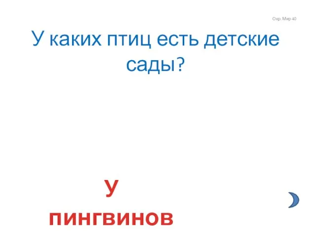 Окр. Мир 40 У каких птиц есть детские сады? У пингвинов