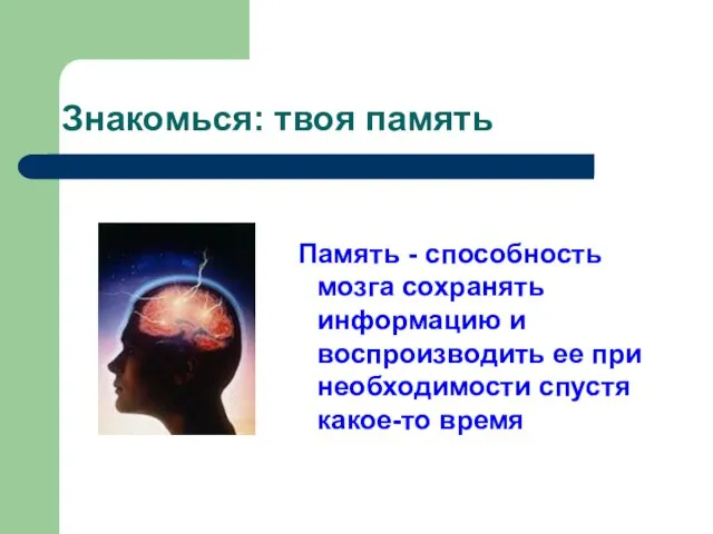 Знакомься: твоя память Память - способность мозга сохранять информацию и воспроизводить ее