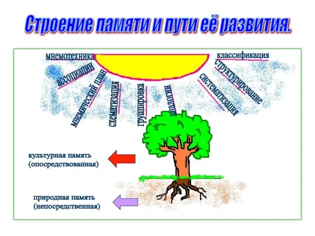 Строение памяти и пути её развития. аналогии ассоциации мнемический план схематизация группировка