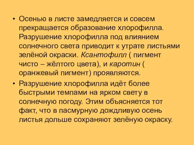 Осенью в листе замедляется и совсем прекращается образование хлорофилла. Разрушение хлорофилла под