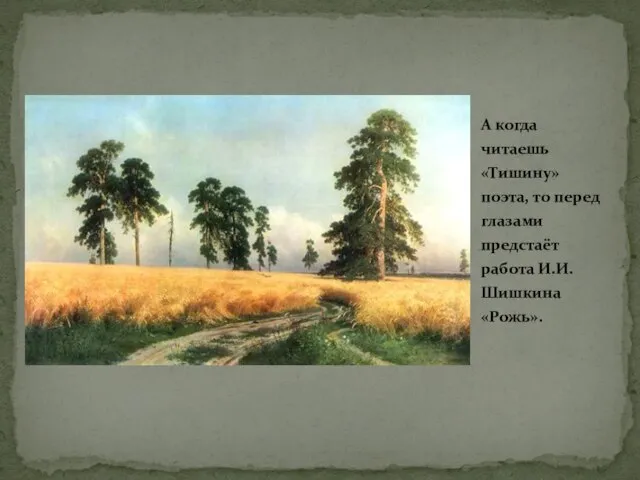 А когда читаешь «Тишину» поэта, то перед глазами предстаёт работа И.И.Шишкина «Рожь».