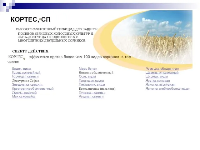 КОРТЕС, СП ВЫСОКОЭФФЕКТИВНЫЙ ГЕРБИЦИД ДЛЯ ЗАЩИТЫ ПОСЕВОВ ЗЕРНОВЫХ КОЛОСОВЫХ КУЛЬТУР И ЛЬНА-ДОЛГУНЦА
