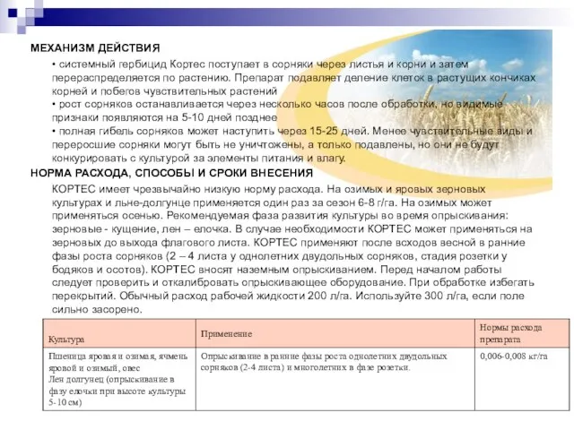 МЕХАНИЗМ ДЕЙСТВИЯ • системный гербицид Кортес поступает в сорняки через листья и