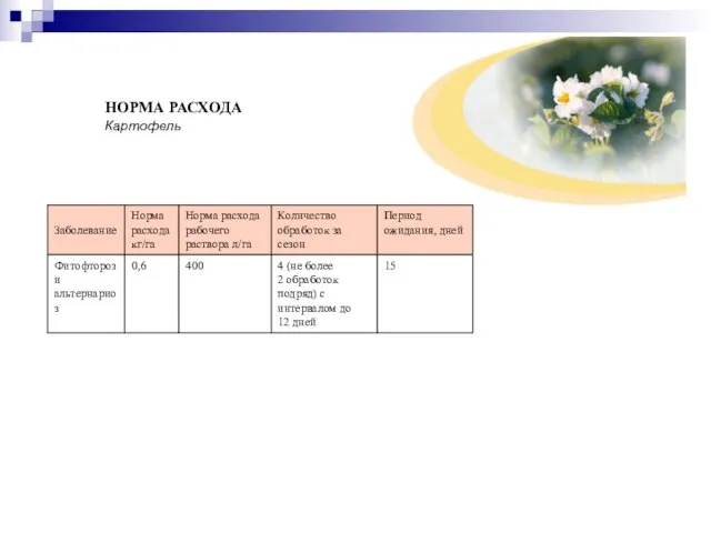 НОРМА РАСХОДА Картофель