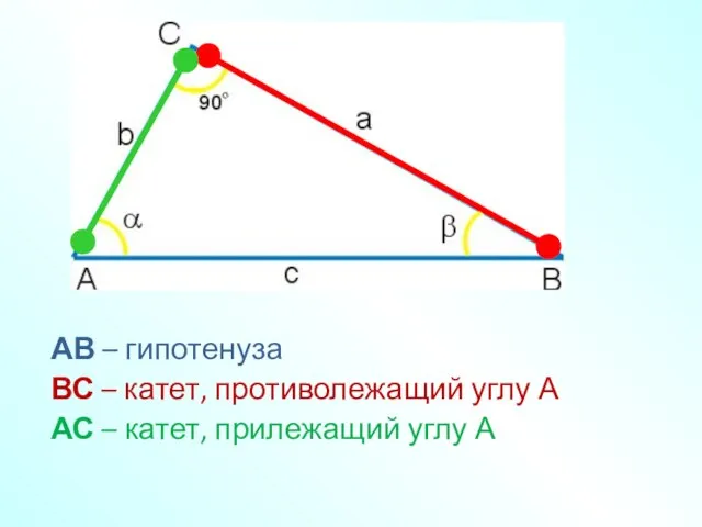 АВ – гипотенуза ВС – катет, противолежащий углу А АС – катет, прилежащий углу А