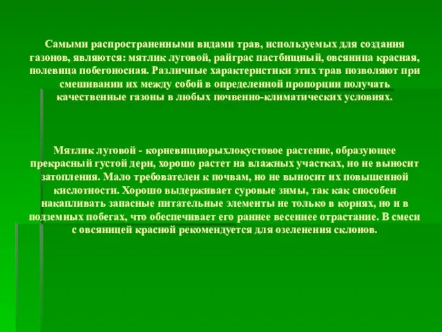 Самыми распространенными видами трав, используемых для создания газонов, являются: мятлик луговой, райграс