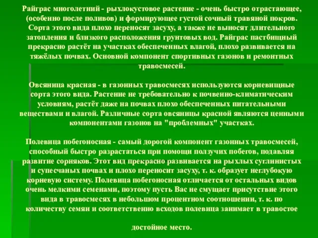 Райграс многолетний - рыхлокустовое растение - очень быстро отрастающее, (особенно после поливов)